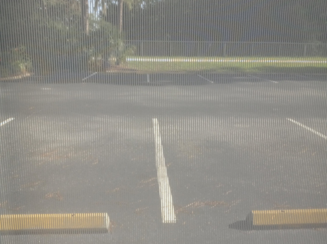 Best Western Mulberry Hotel主图