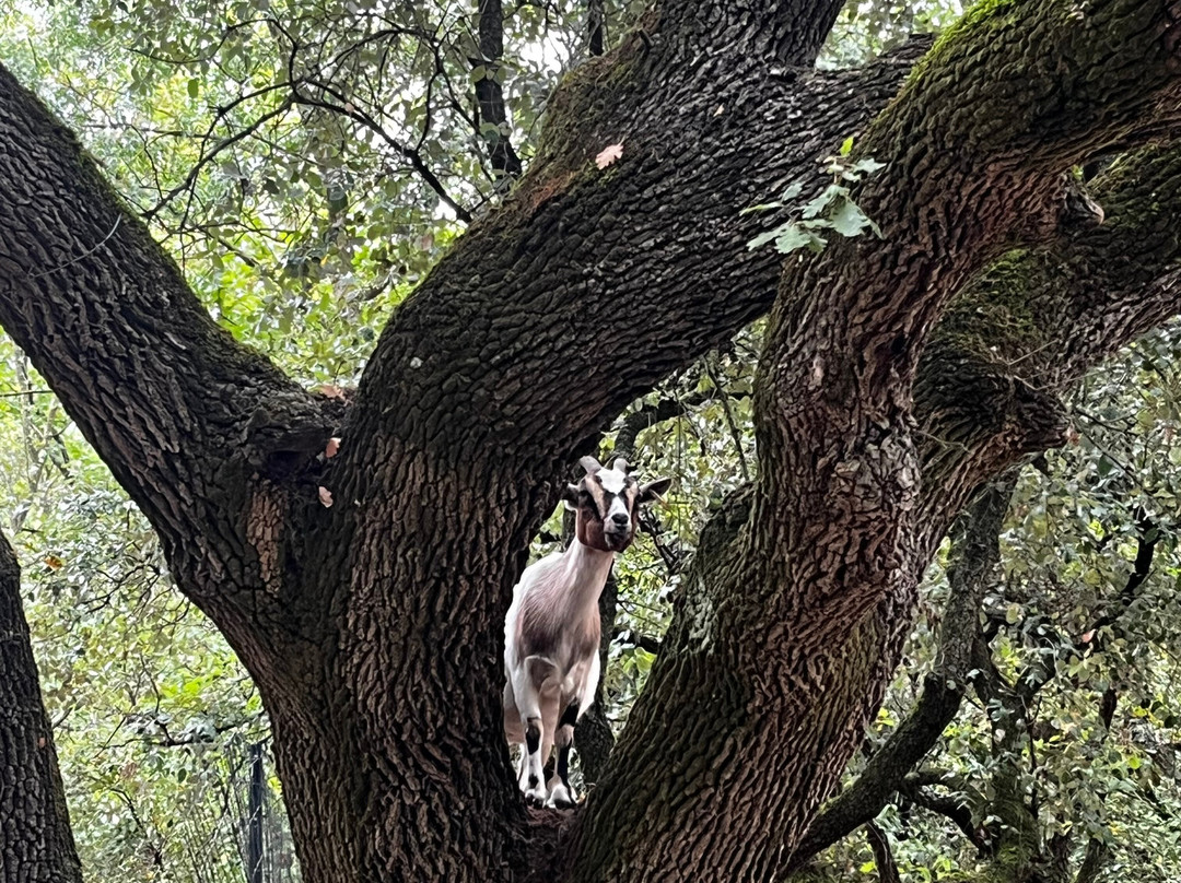 Le Village des Enfants-Montagnac必去景点