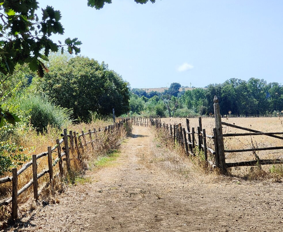 Parco Archeologico Naturalistico di Vulci-Montalto di Castro必去景点