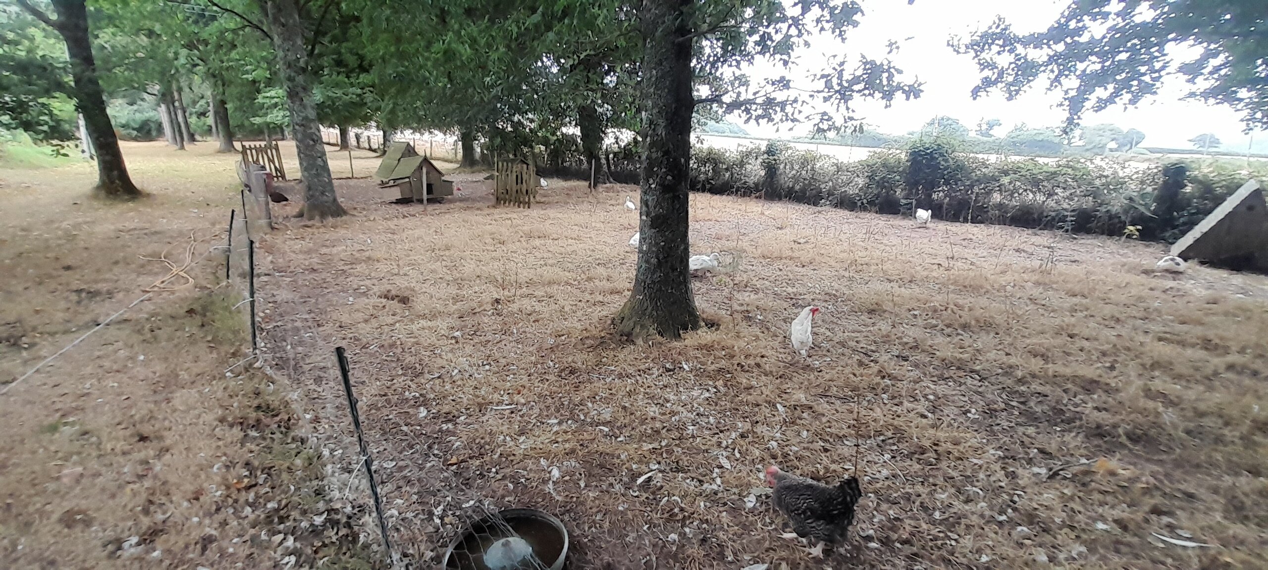 Buckley Farmhouse B And B-官方