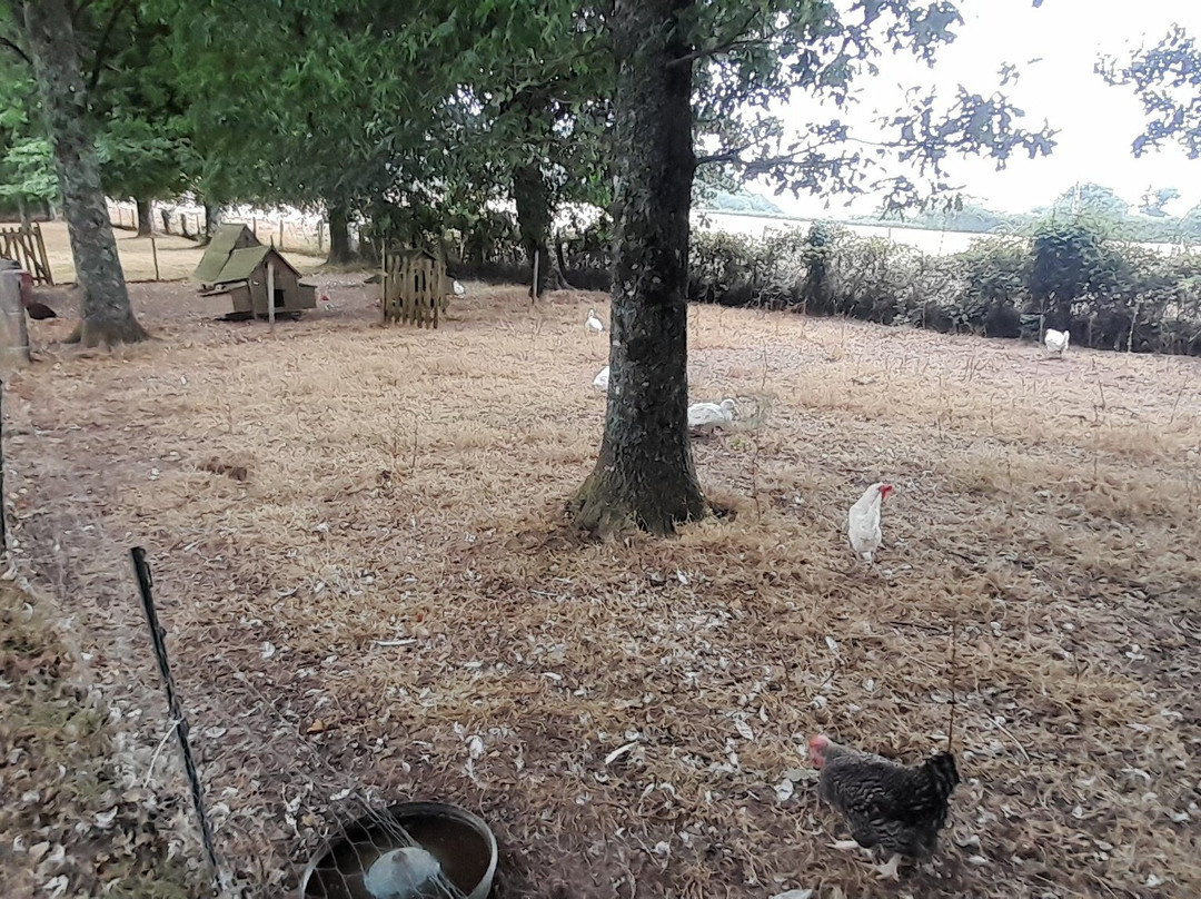 Buckley Farmhouse B And B主图