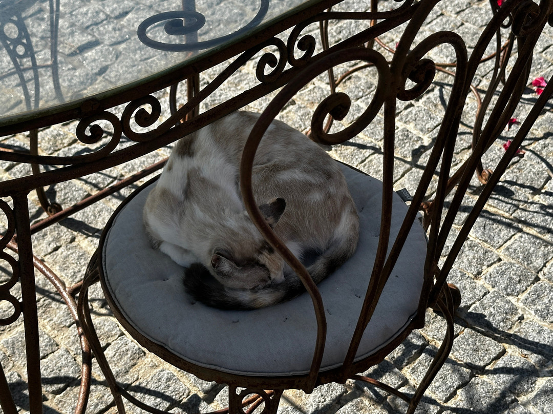 Paco de Pombeiro主图