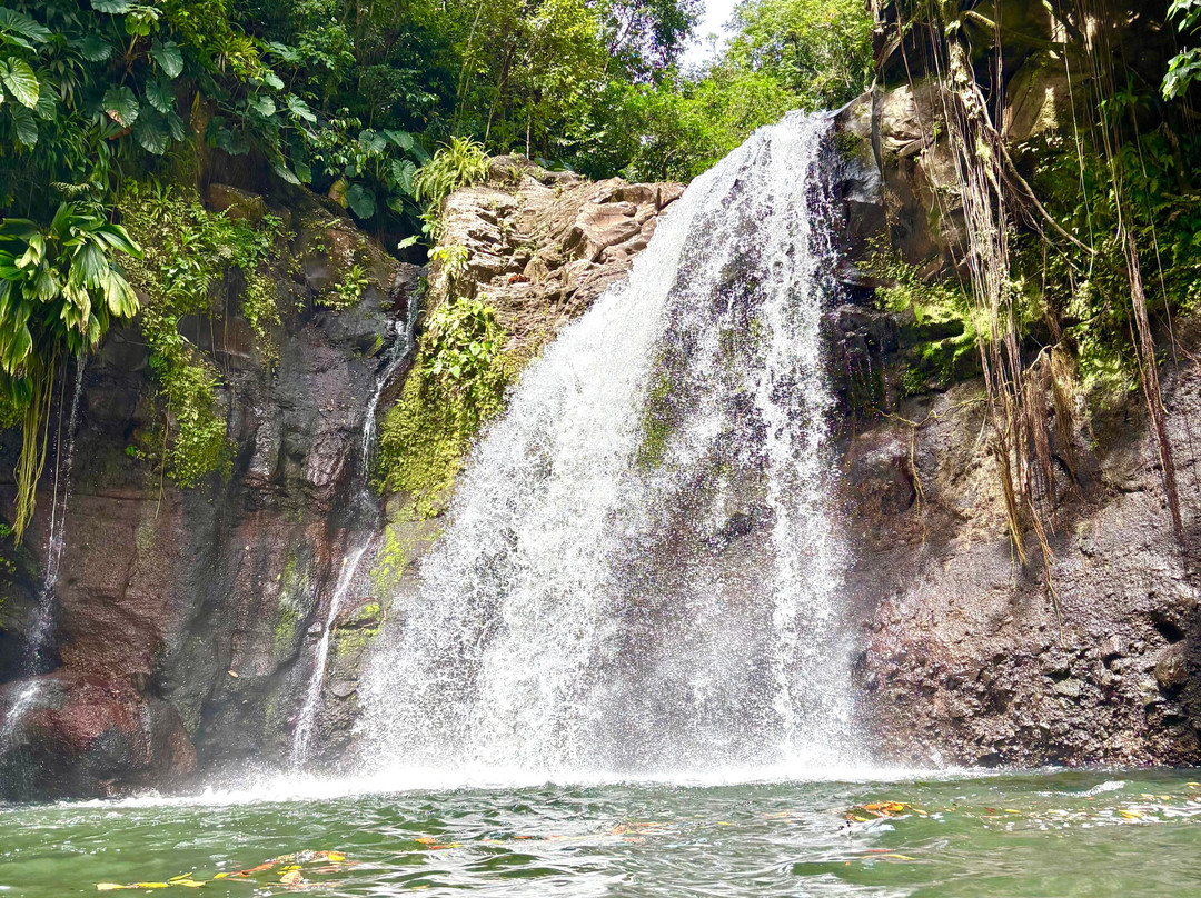 Saut de la Lézarde-Petit-Bourg必去景点