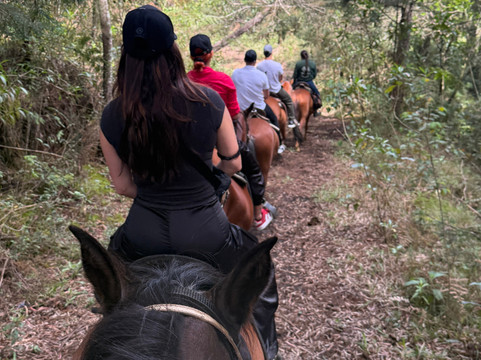 Serenya Reserva Ecuestre-恩维加多必去景点