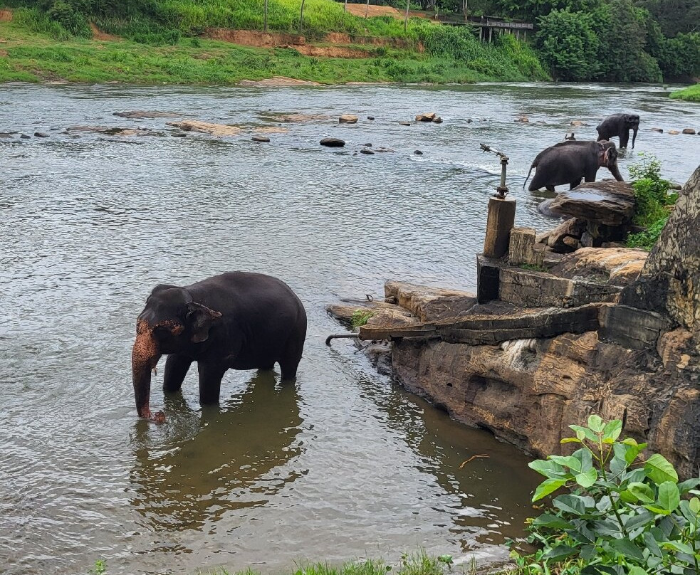 HOLIDAY WORLD TRAVEL SRI LANKA-Ragama必去景点