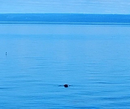 Marine Environment Discovery Centre-Les Escoumins必去景点