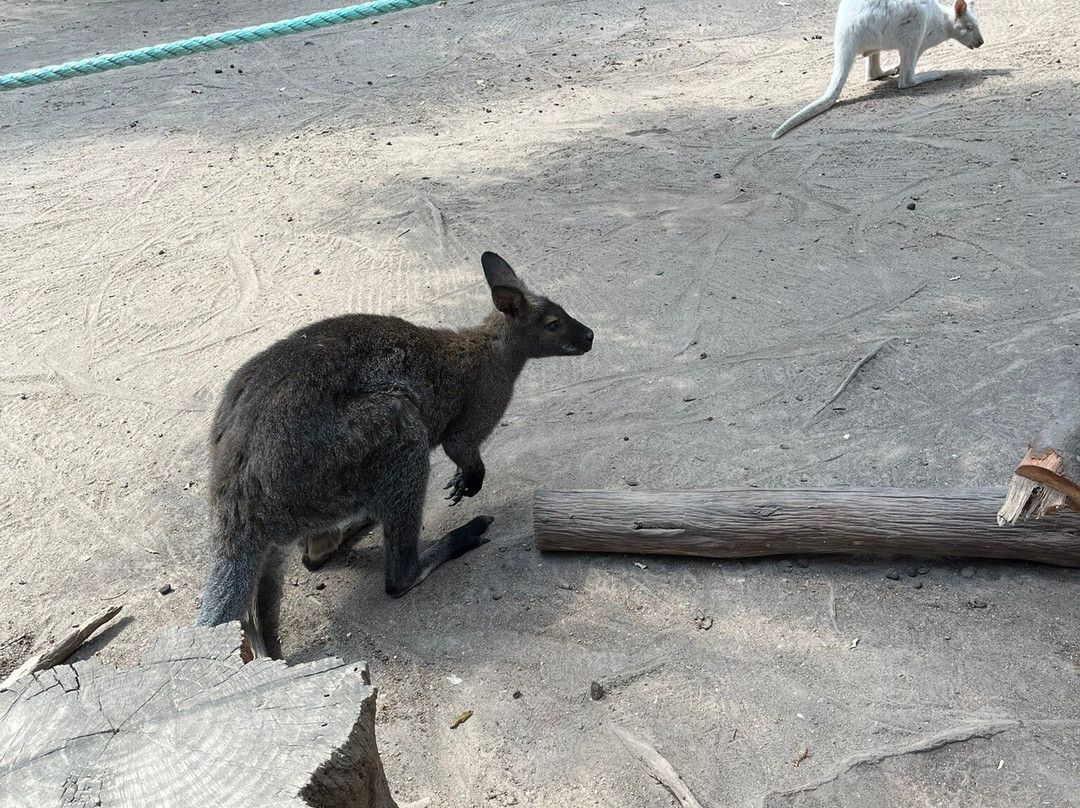 Le Parc Myocastors-Dolus-d'Oleron必去景点