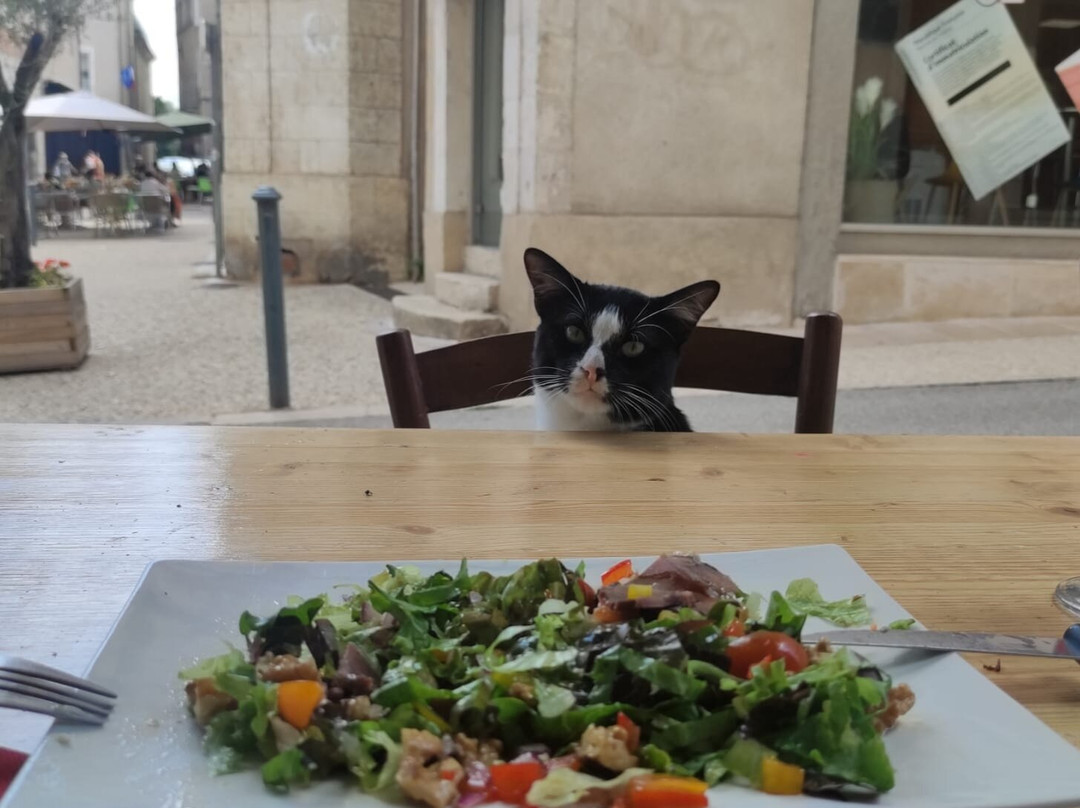 Le Pukèko Bar & Pizzeria