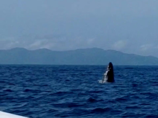 Costa Tours-彭塔雷纳斯必去景点