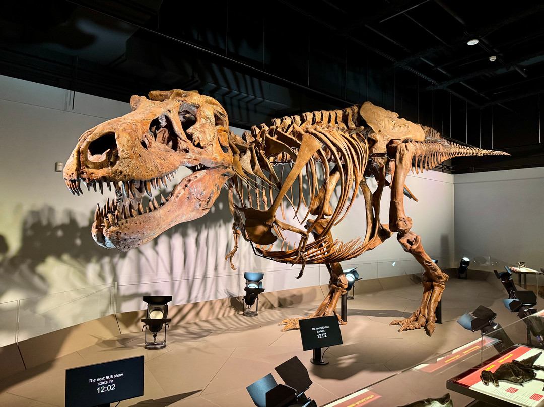 Museum of the Rockies-博兹曼必去景点