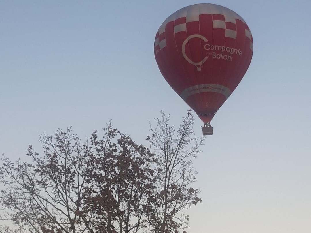 Compagnie des Ballons-塔卢瓦尔必去景点