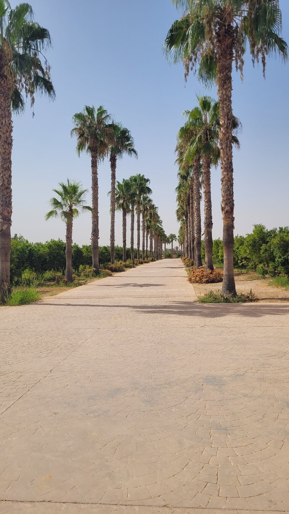 Palais Claudio Bravo-官方