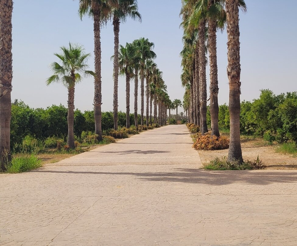 Palais Claudio Bravo主图