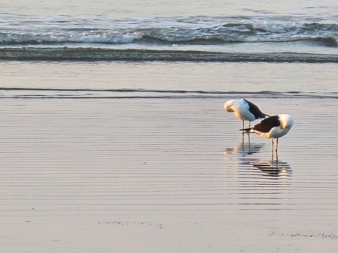 Praia Guarau-Peruibe必去景点