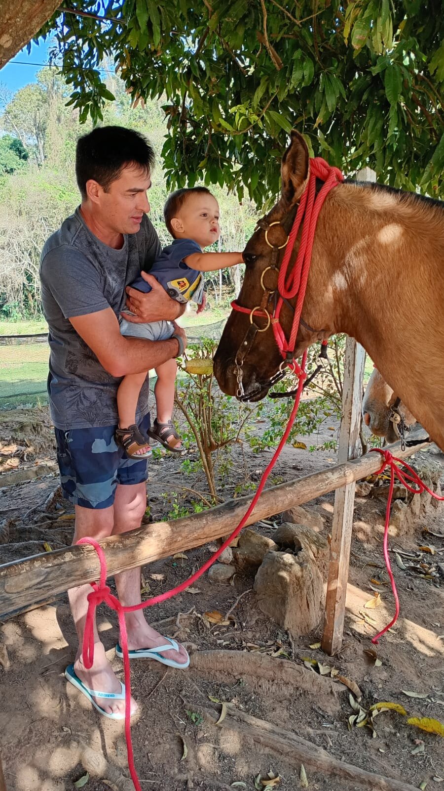 Hotel Fazenda Village Montana-官方