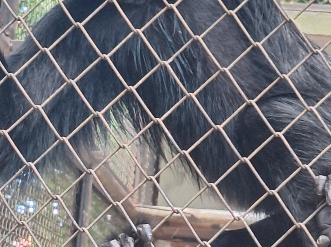 Museu Paraense Emílio Goeldi-贝伦必去景点