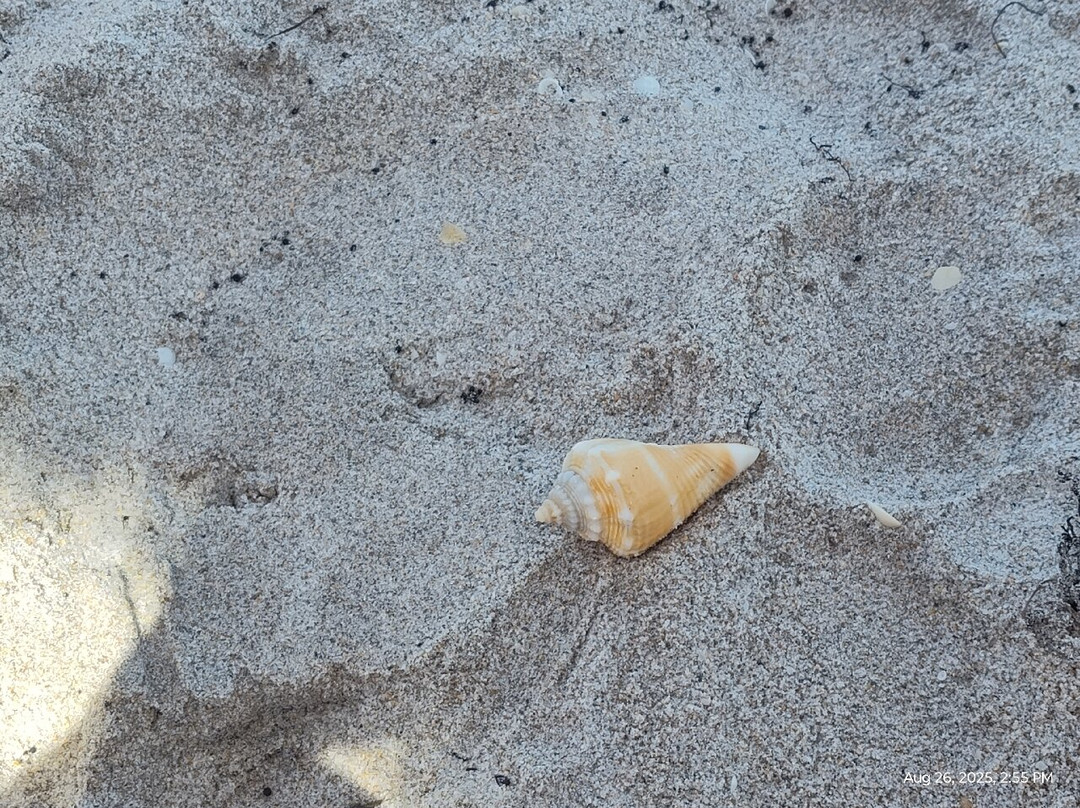 Hillsboro Beach Resort by Kasa主图