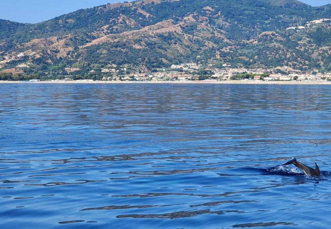 SEAFLY Noleggio Gommoni & Barche Escursioni Flyboard Sport Acquatici Volo in Deltaplano-Badolato Marina必去景点
