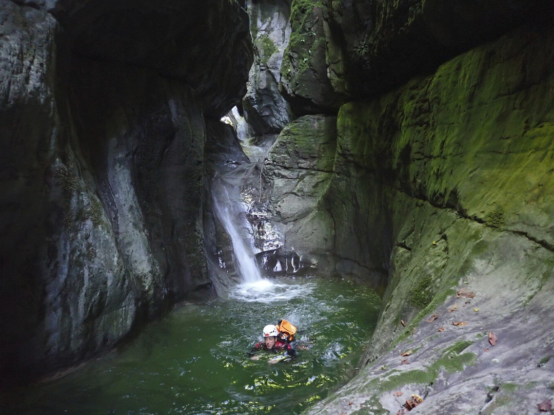Fischer Adventures Day Tours-圣加仑必去景点