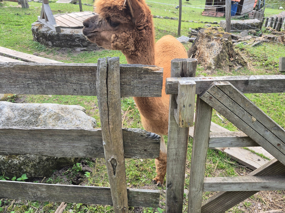Ferme Jean Des Houx-Sapois必去景点
