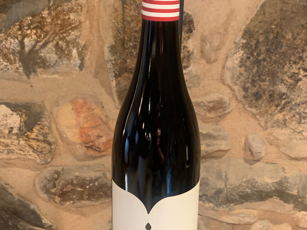 Bodegas Pittacum-Arganza必去景点