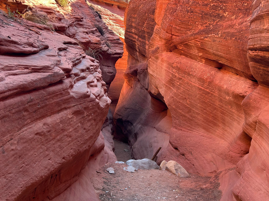 HANKSVILLE TOURS AND MOTORSPORTS RENTALS-Hanksville必去景点