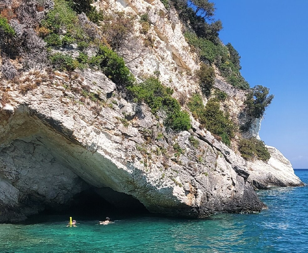 Golden Dolphin-阿雷克斯必去景点