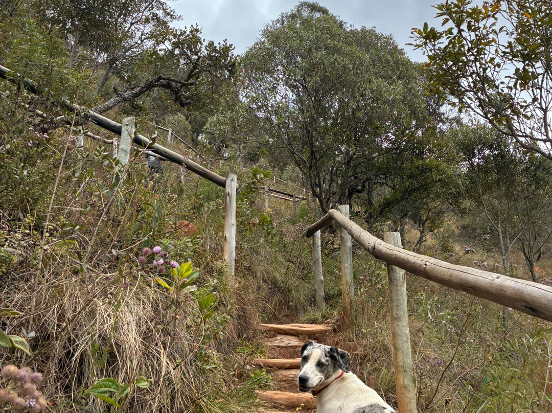 Cachoeira dos Garcias-Aiuruoca必去景点