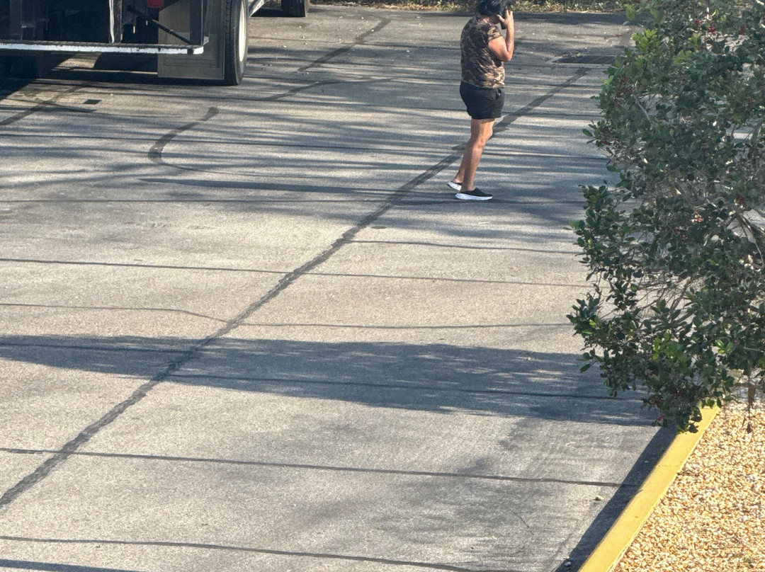 Best Western Plus Bradenton Hotel & Suites主图