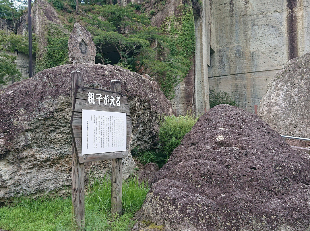 Oya Heiwa Kannon-宇都宫市必去景点