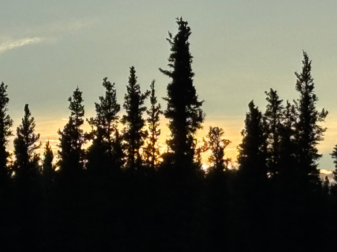 Denali Totem Inn主图