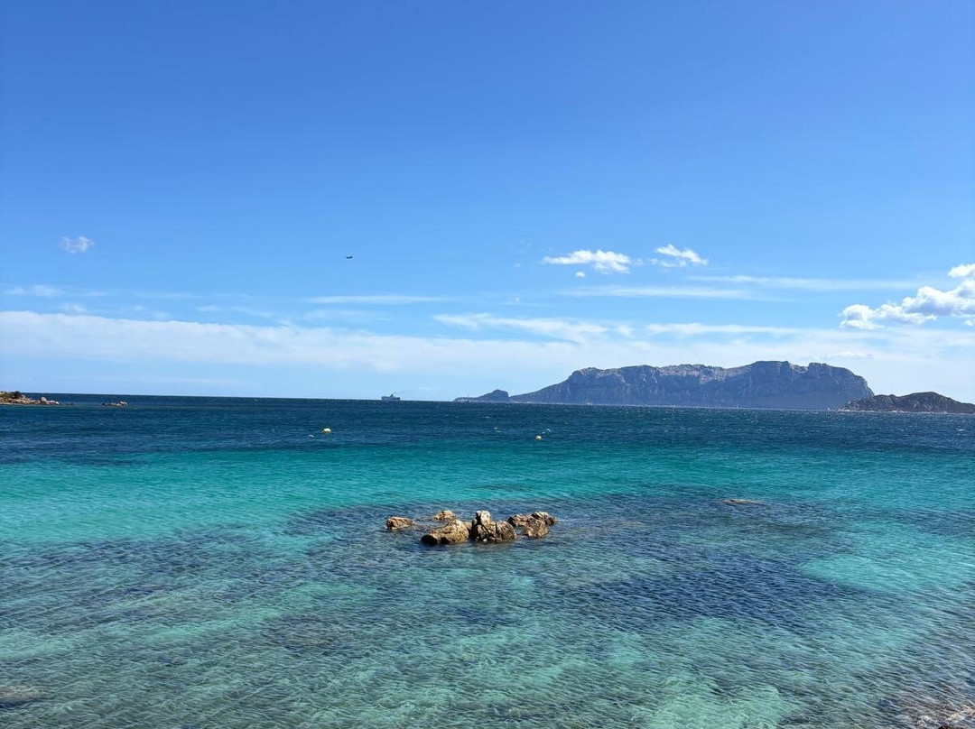 Spiaggia Pittulongu - La Playa-奥尔比亚必去景点