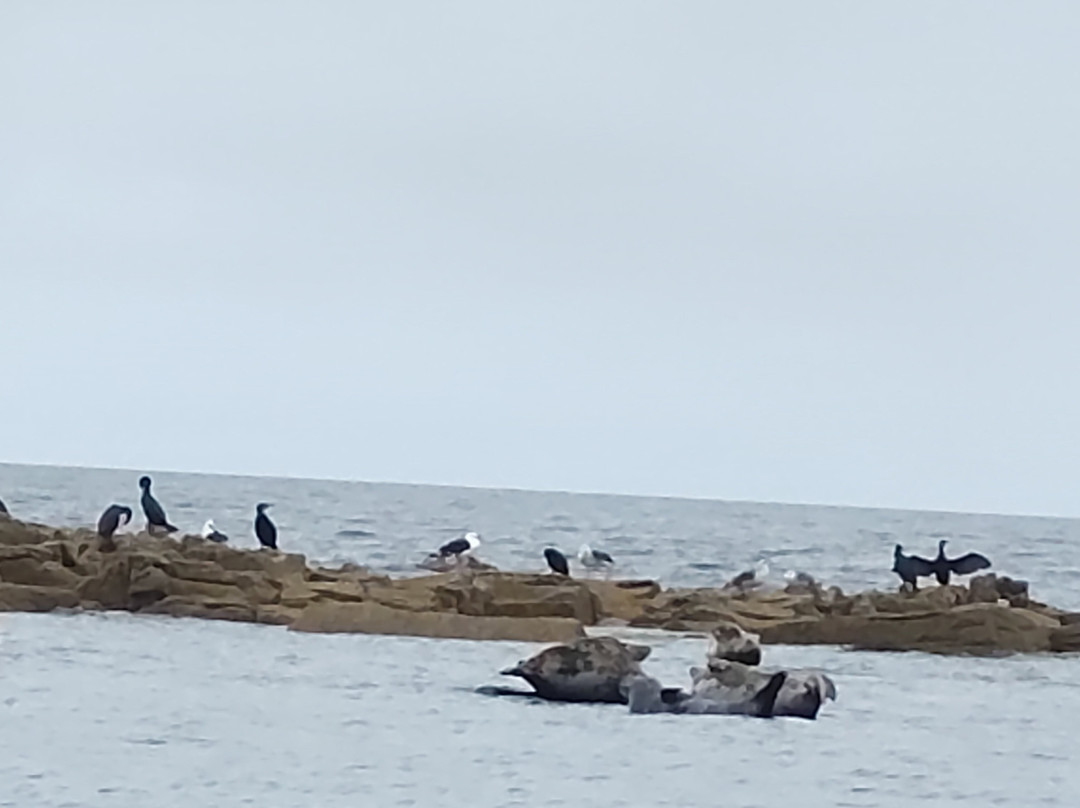 North 58 Sea Adventures-Lossiemouth必去景点