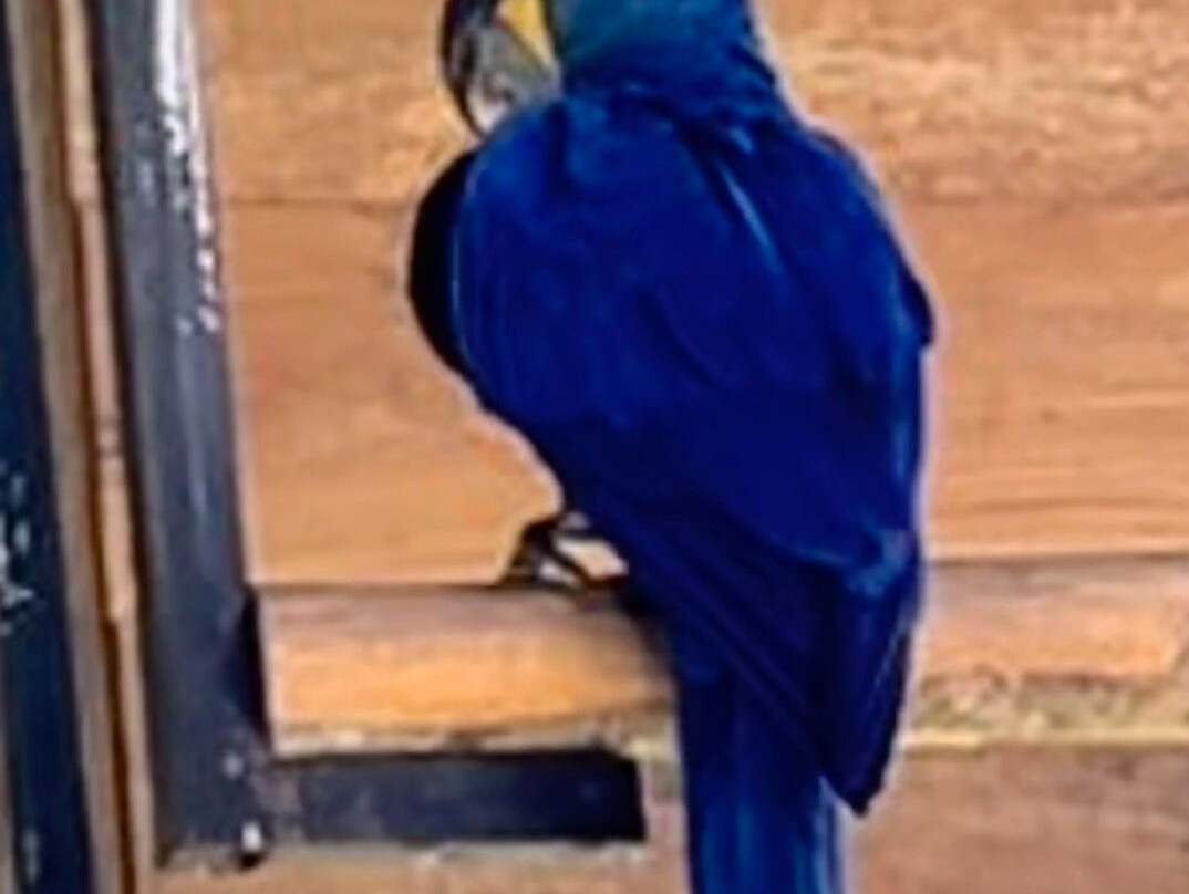 Birds Research Center & Resort-Hambantota必去景点