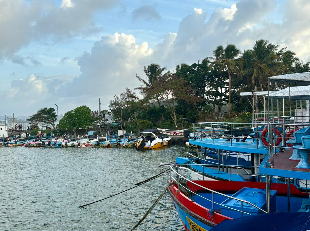 Mirissa Blue Whales And Turtle Snorkeling-Thalaramba必去景点