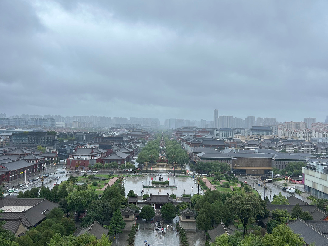 Terracotta Warriors Tour-西安市必去景点