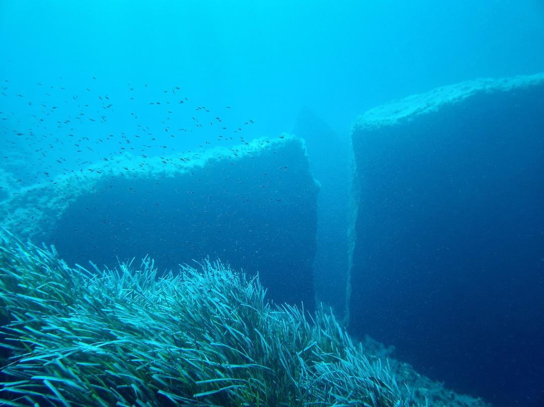 Orca Diving Ustica-Ustica必去景点