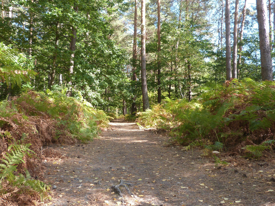 Belvédère Des Caillettes-Nibelle必去景点