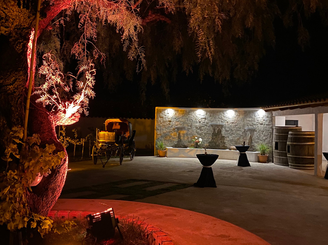 Viñedos Y Bodega Daroca-塔里哈必去景点