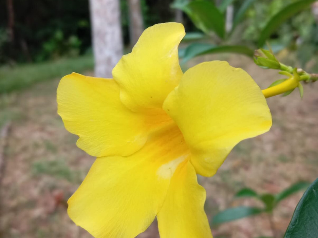 Aqua Amazon Xtreme-伊基托斯必去景点