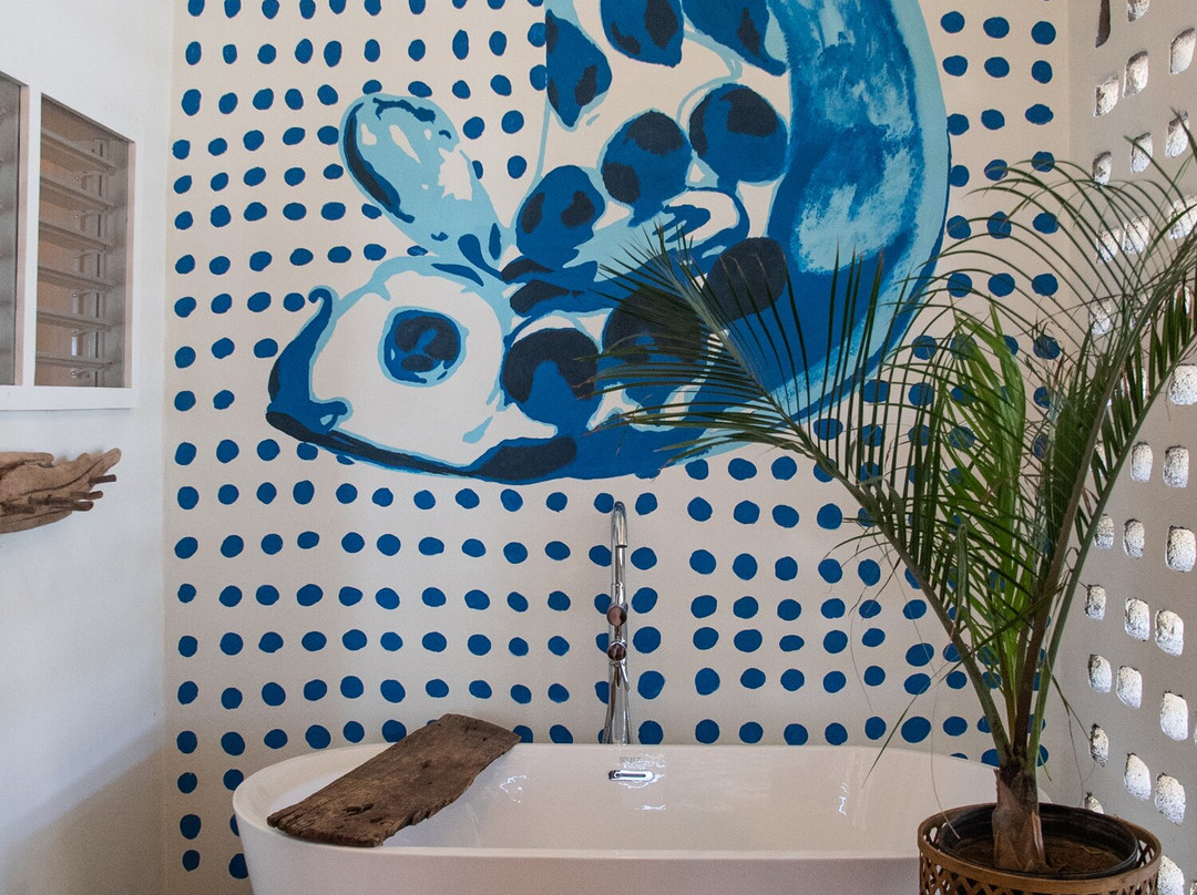 MycoMeditations Psilocybin-Assisted Retreats-瑰宝滩必去景点