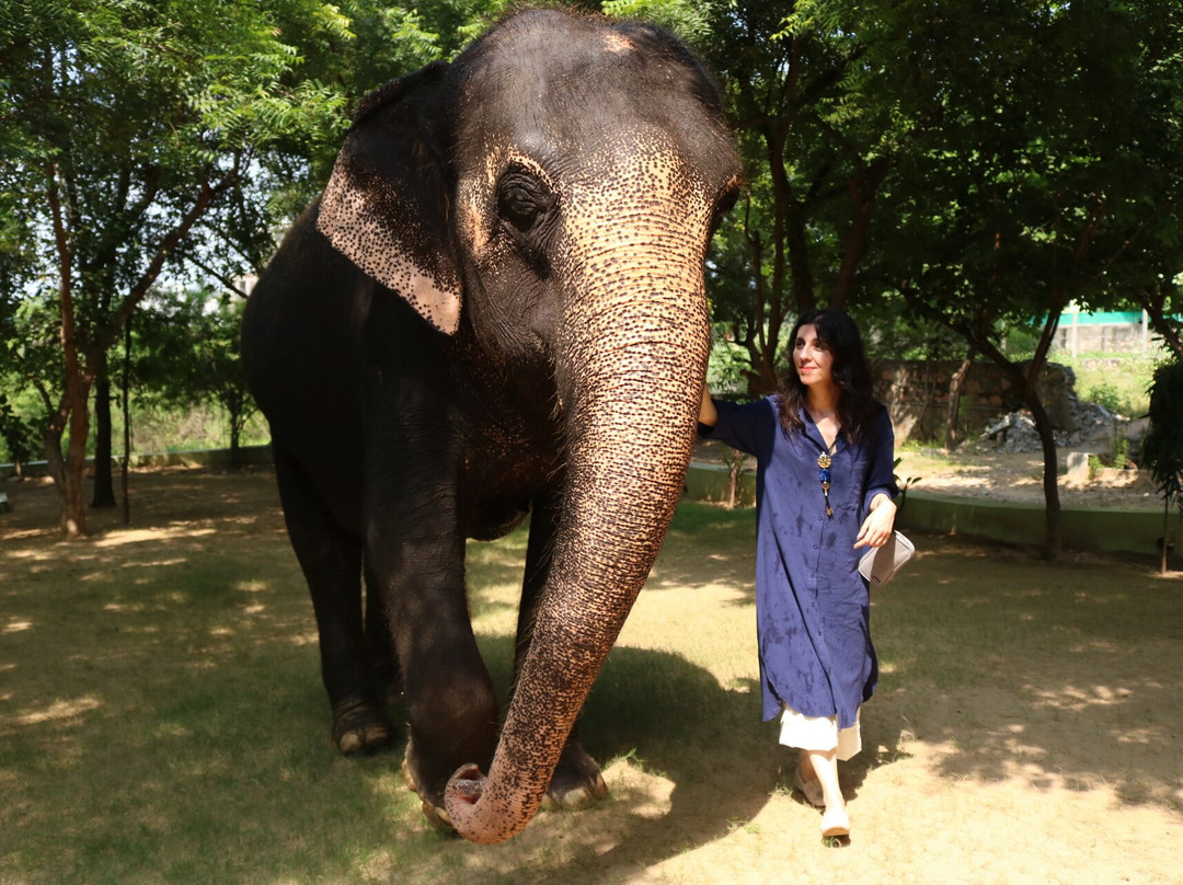 大象奇迹观光农场-斋蒲尔必去景点