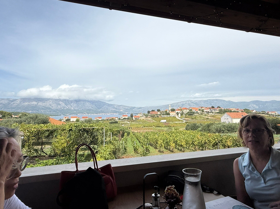 Popic Winery Lumbarda-伦巴达必去景点