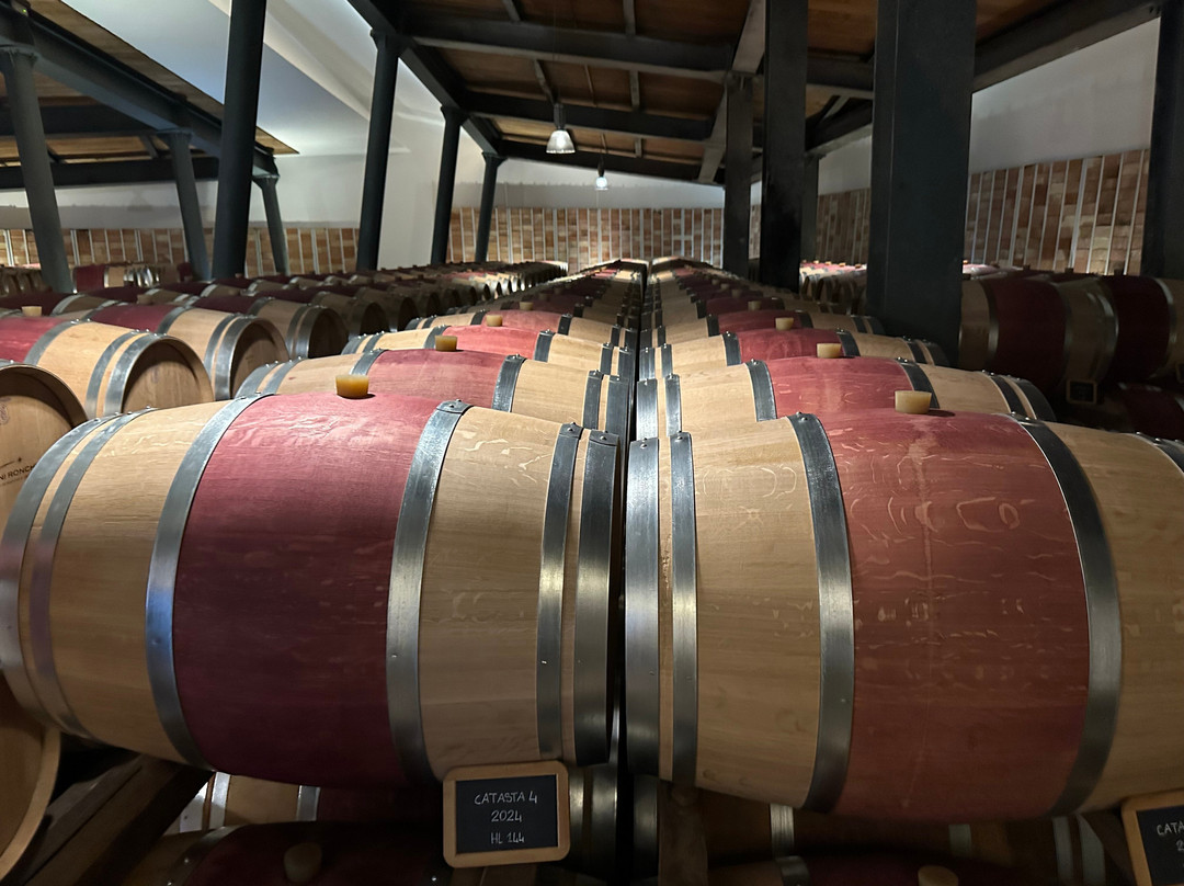 Umani Ronchi Winery-奥西莫必去景点