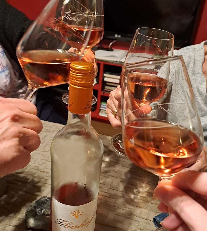 Weingut-Pension Tiliahof主图