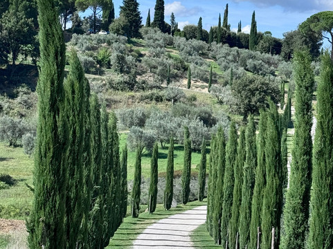 The Tuscan Wanderer-卢卡必去景点