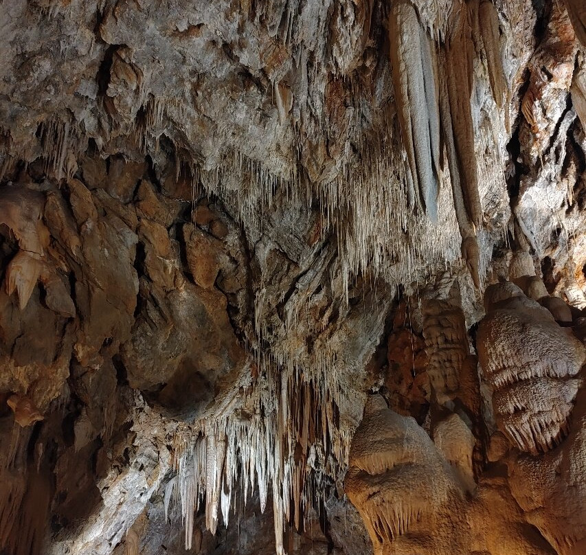 Grotte di Borgio Verezzi-Borgio Verezzi必去景点