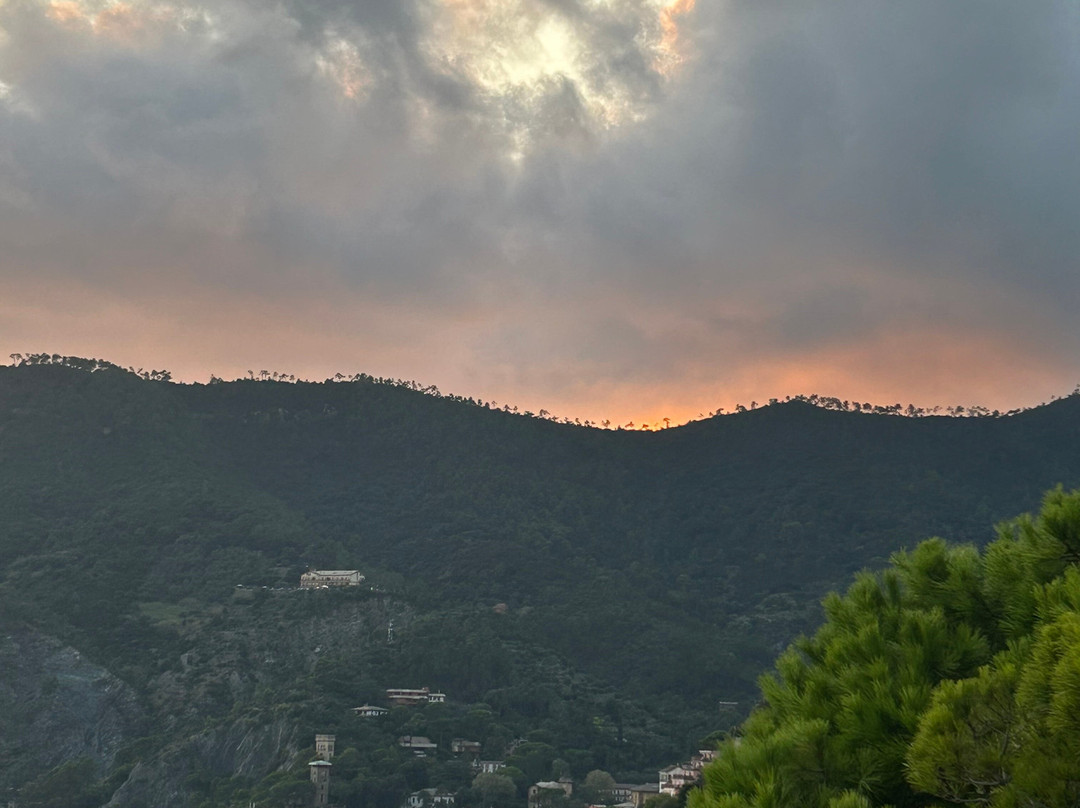 波多瑞卡酒店主图