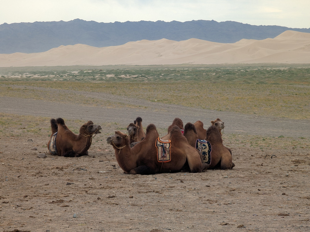 Goyo Travel-乌兰巴托必去景点