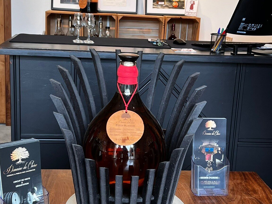 Le Domaine Du Chêne-Saint Palais de Phiolin必去景点